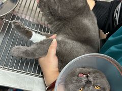 -王允海动物医院(中央大街店)