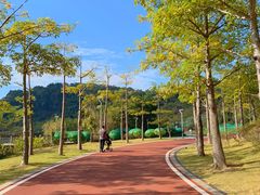 -飞凤山奥体公园