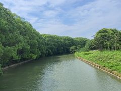 -同里国家湿地公园