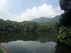 -杭州半山国家森林公园