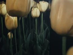 -成都中医药大学(温江校区)