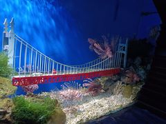 -太平洋海底世界