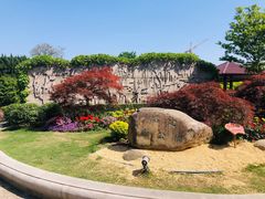-嘉定紫藤园