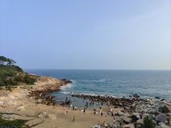 -广东惠东海龟国家级自然保护区