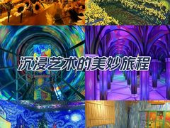 -梵高星空艺术馆(北京旗舰店)