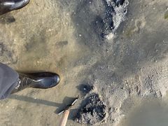 -红树林天天赶海