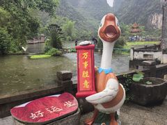 -靖西鹅泉风景区