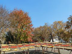 -呈坎景区