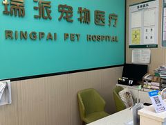-瑞派宠物医院(搏威敦和院)