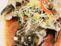 古法蒸石斑-浦华大酒店-台南担仔面海鲜楼