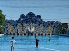 -苏州乐园森林水世界