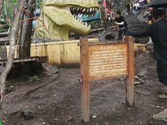 -帽儿山风景区