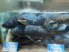 -上名堂·鱼头好吃(体育场路店)