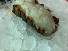 -辉哥火锅(虹桥路店)