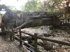 -天门沟九州驿站树上汤泉