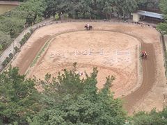 -龙凤山庄影视度假村