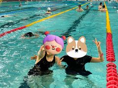 -陕西省游泳跳水馆