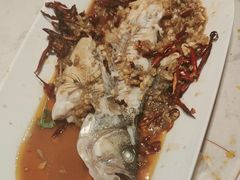 -杨氏青龙虾·羊蝎子(托乐嘉店)