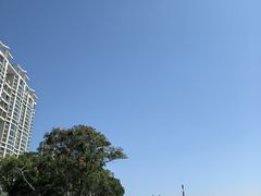 -石炮台公园