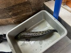 -风情丽江斑鱼火锅(孙家沟西南路80号店)