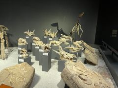 -重庆自然博物馆(新馆)