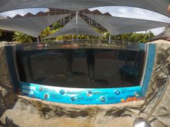 -新加坡水上探险乐园