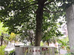 -广州神农草堂中医药博物馆