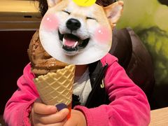 -麦当劳(望京国际商业中心店)