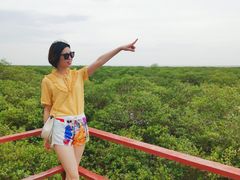 -北海金海湾红树林生态旅游区