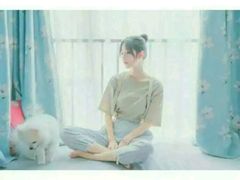 -读宠于你·约克夏比熊·睫角守宫·爬宠售卖(高新店)