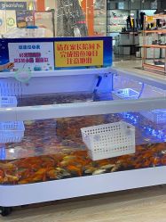 -贝悠悠(华宇时尚店)