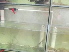 水产区-文仔海鲜馆