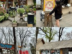 -沂蒙山旅游区云蒙景区(蒙山国家森林公园)