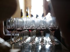 -北京张裕爱斐堡酒庄