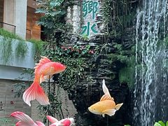 -广州白天鹅宾馆