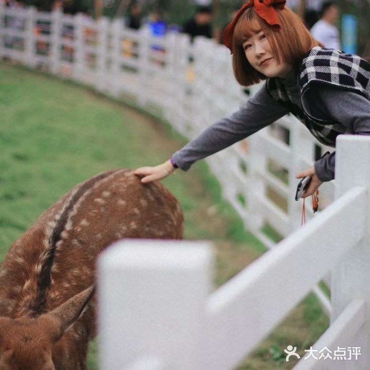 整个园区还挺大的，跟欢乐田园的感觉有点像