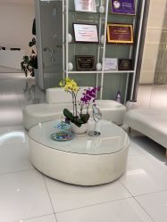 -agge蛋白医美