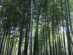 -陶祖圣境风景区