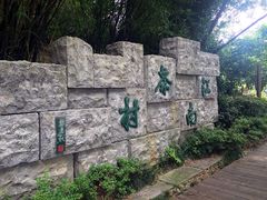 茶岛一景-天目湖山水园
