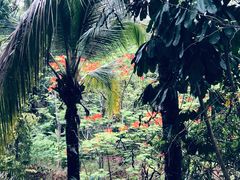 -西双版纳融创皇冠假日度假酒店