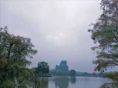 -南宁花花大世界景区