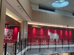 -凤凰汇购物中心