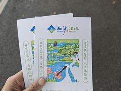 -大湾区中央湿地公园