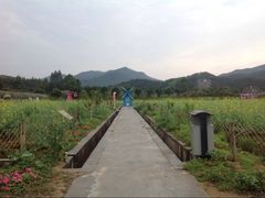 盈香生态园-盈香心动乐园