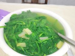 -东吴霸王兔(松青路店)