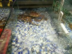 android_upload_pic-上座·餐厅(阳光100店)