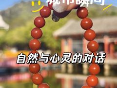 -珠海圆明新园