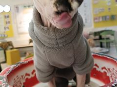 -平行世界·猫咖(首经贸店)