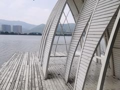 -长兴太湖图影湿地文化园