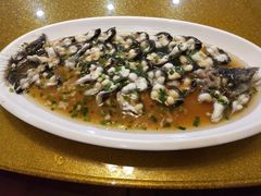 -呼吸森林·生态农庄农家乐私房菜